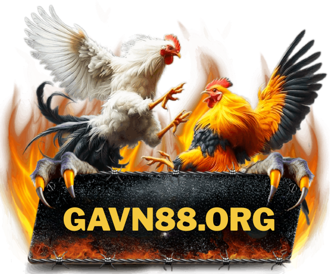 GAVN88 Logo