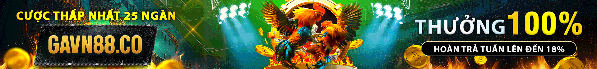 Banner GAVN88