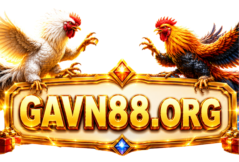 gavn88.org 